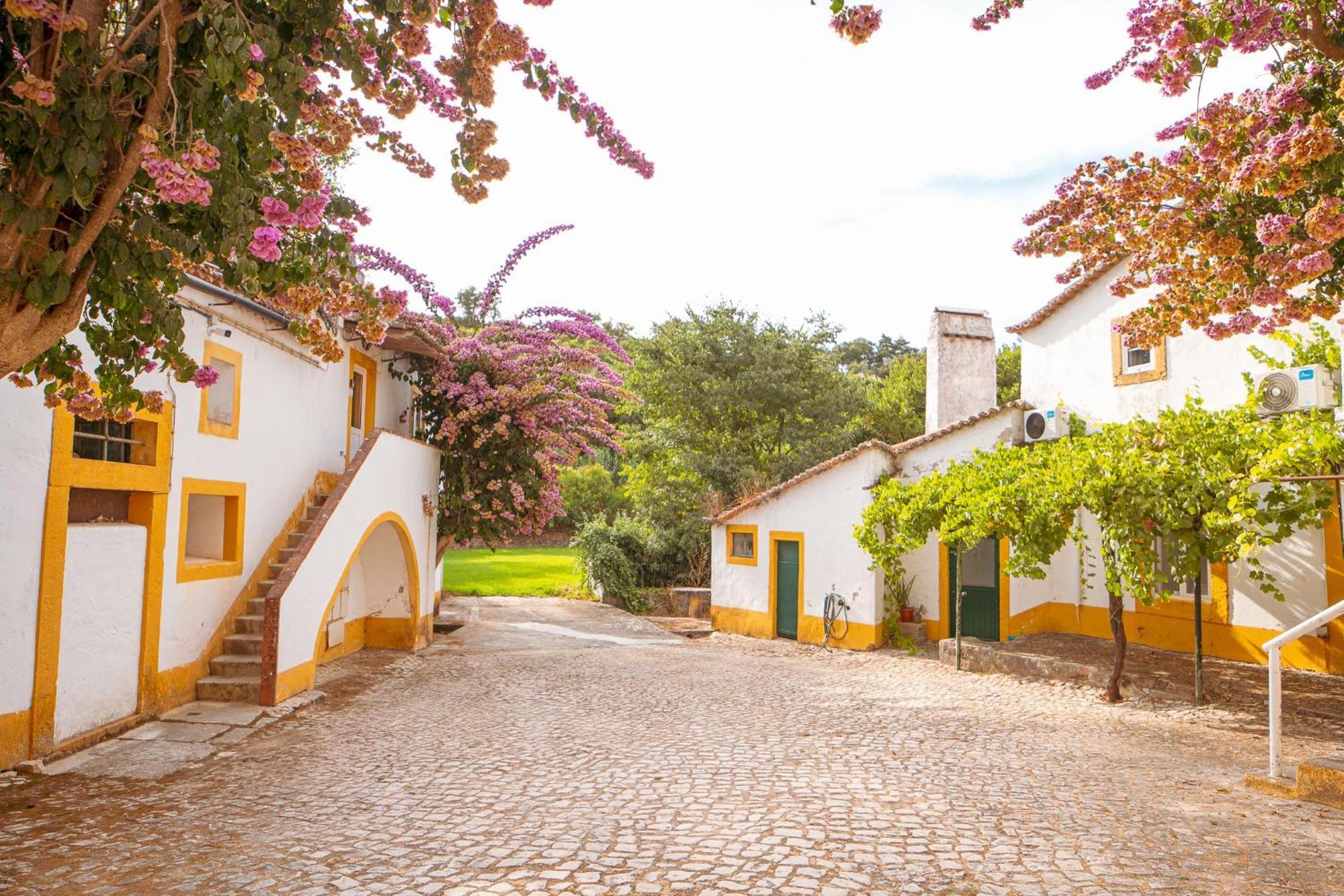 Quinta Do Boicao Villa - Lisbon, Lisbon